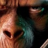 Аватарка - Планета обезьян (Planet of the Apes)