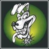 Ska