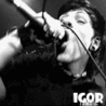 Amatory