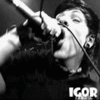 Amatory
