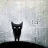 Кот (Кот)