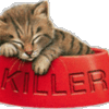 Кот-киллер