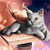 Котик