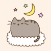 Кот