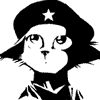 Кот