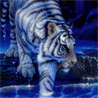 Тигр