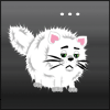 Аватарка - Белый кот