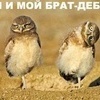 Братья
