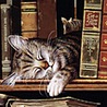 Кошка на полке