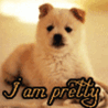 I am pretty