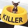 Killer