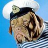 SeaDog (SeaDog)