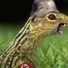 Командир