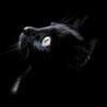 Аватарка - Черный кот
