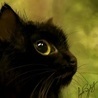 Черная кошка