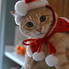 С Новым годом!