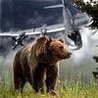 Медведь