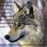 Волк