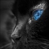 Кошачий глаз