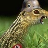 Командир
