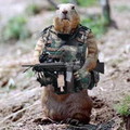 Боец