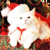 Новогодний