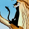 Кошка (Кошка)
