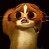 Мадагаскар (Madagascar)
