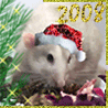 Аватарка - Новогодняя крыска