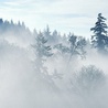 Полный туман