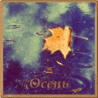 Осенний лист в луже