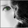 Аватарка - Взгляд кошки