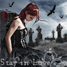 Stay...
