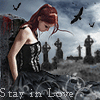 Stay...