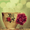 Чашка и цветок (Чашка и цветок)
