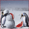 Пингвины и арбуз