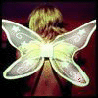 Fly princess