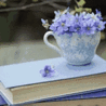 Цветы