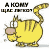 А кому легко?
