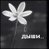 Я вернусь...