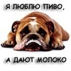 Люблю пиво