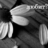 Ромашка