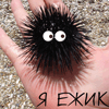 Я - морской ежик