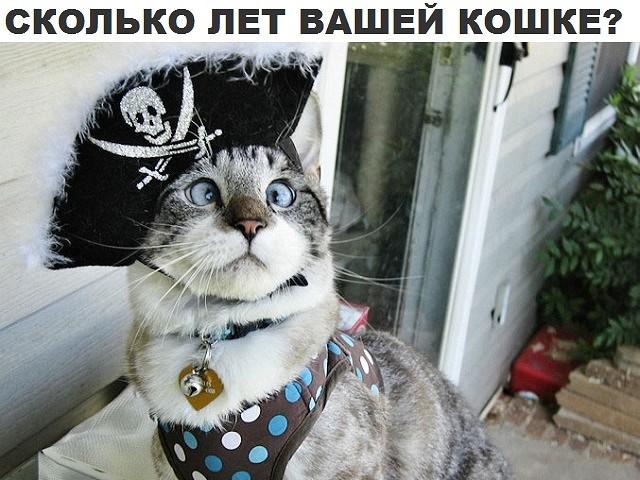 Как обработать кромки стекла в домашних условиях Как обработать кромки стекла в домашних условиях