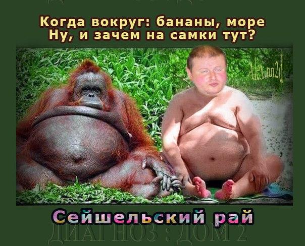 http://kak2z.ru/my_img/img/2015/08/07/6e22d.jpg