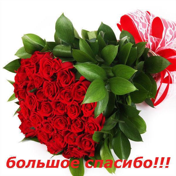 Открытки с цветами для елены Открытки с цветами для елены