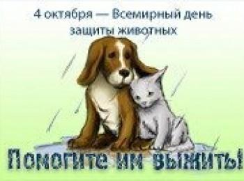 Сценарий дня защиты животных Сценарий дня защиты животных