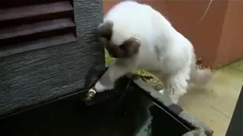 http://kak2z.ru/my_img/img/2015/10/05/9d591.jpg