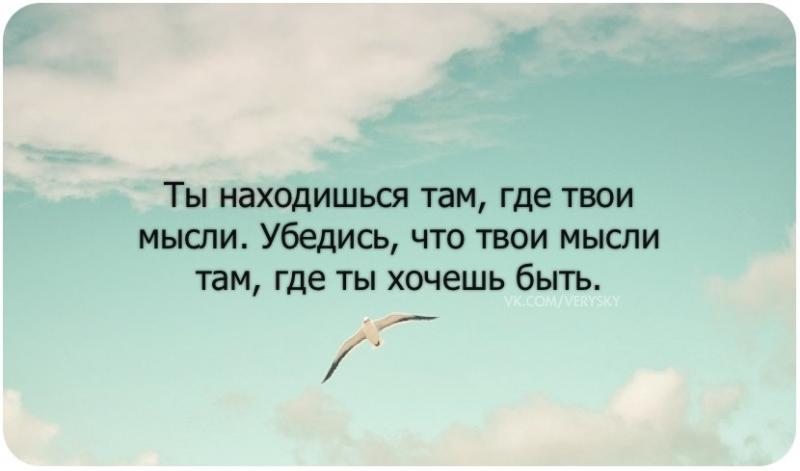 Там где ты цитаты из книги Там где ты цитаты из книги