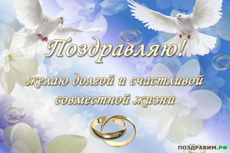 Стихи от бабушки внучке на свадьбу от бабушки Стихи от бабушки внучке на свадьбу от бабушки